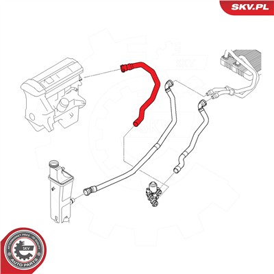 ESEN SKV 54SKV774 EAN: 5906302211197.