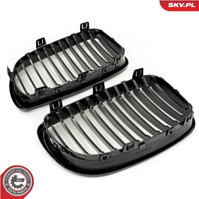 ESEN SKV 66SKV006 EAN: 5903968481650.