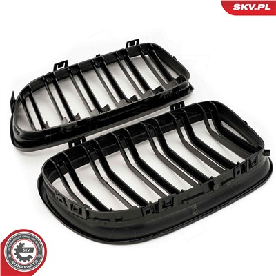 ESEN SKV 66SKV101 EAN: 5903968482602.