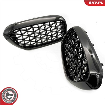 ESEN SKV 66SKV200 EAN: 5903968483593.