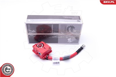 ESEN SKV 96SKV309 EAN: 5901947366509.