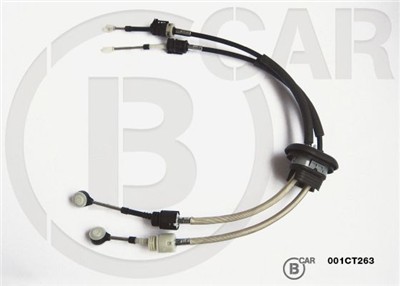 B CAR 001CT263 EAN: 8435641200533.