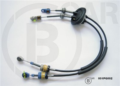 B CAR 001PG002 EAN: 8435641207488.