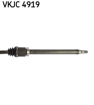 SKF VKJC 4919 EAN: 7316577877611.