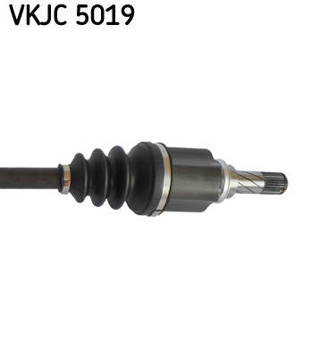 SKF VKJC 5019 EAN: 7316577842282.