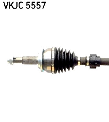 SKF VKJC 5557 EAN: 7316579327831.
