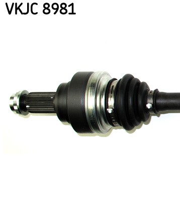 SKF VKJC 8981 EAN: 7316579247733.
