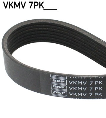 SKF VKMV 7PK1749 EAN: 7316574157549.