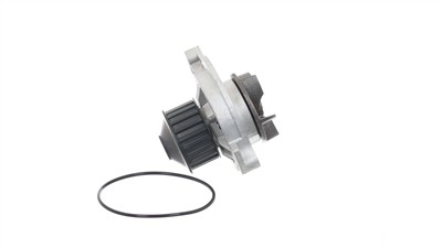 SKF VKPC 81602 EAN: 7316587010589.