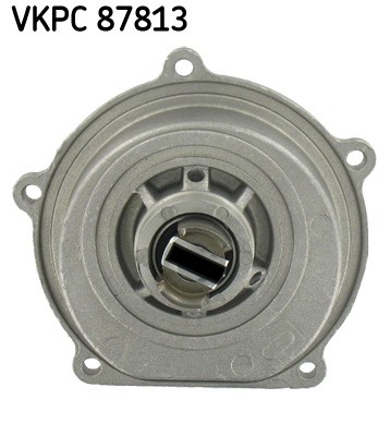 SKF VKPC 87813 EAN: 7316571257297.