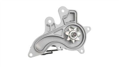 SKF VKPC 91871 EAN: 7316582069063.