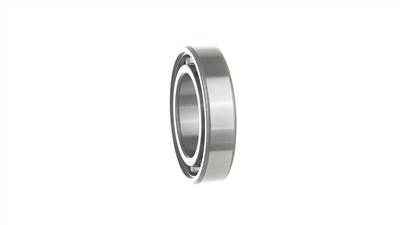 SKF VKT 1141