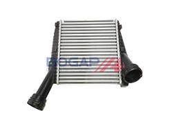 BOGAP A4220123