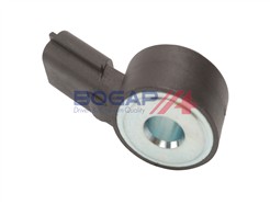 BOGAP R6113100