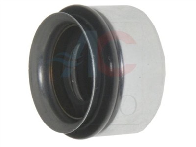 ACAUTO AC-10XX06 EAN: 5904358609722.