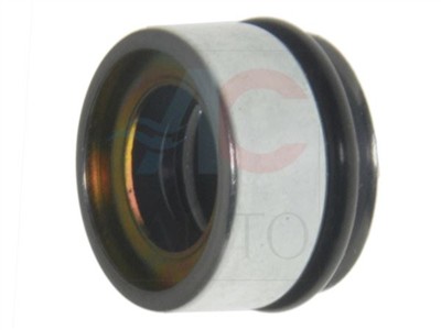 ACAUTO AC-10XX06 EAN: 5904358609722.