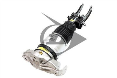Dunlop Airsuspension 71067 Číslo výrobce: DAS10123. EAN: 4046283710676.