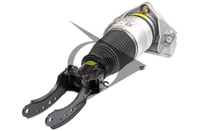 Dunlop Airsuspension 71068 Číslo výrobce: DAS10124. EAN: 4046283710683.