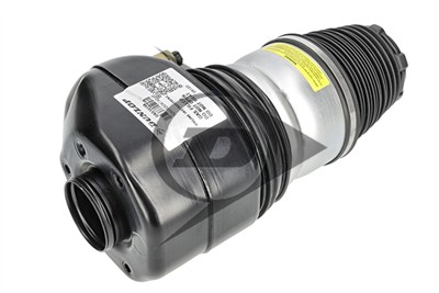 Dunlop Airsuspension 71113 Číslo výrobce: DAS10108. EAN: 4046283711130.