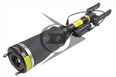 Dunlop Airsuspension 71223 Číslo výrobce: DAS10074. EAN: 4046283712236.