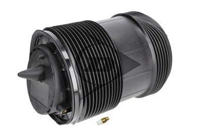Dunlop Airsuspension 77303 Číslo výrobce: DAS10248. EAN: 0.