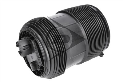 Dunlop Airsuspension 77303 Číslo výrobce: DAS10248. EAN: 0.