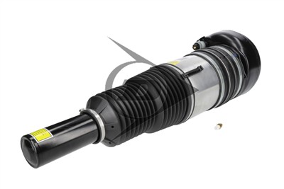Dunlop Airsuspension 77305 Číslo výrobce: DAS10250. EAN: 0.