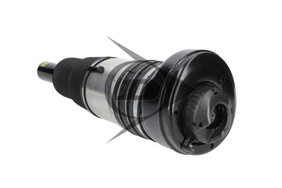 Dunlop Airsuspension 77305 Číslo výrobce: DAS10250. EAN: 0.