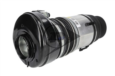Dunlop Airsuspension 77306 Číslo výrobce: DAS10251. EAN: 0.