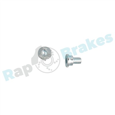 RAP BRAKES R-D0493C EAN: 5907714147944.