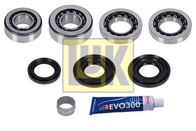 LuK 462 0216 10 EAN: 4014870522704.