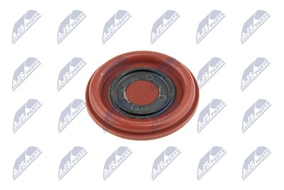 NTY BPZ-VV-002 EAN: 5902048164773.