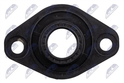 NTY BWP-PL-002A