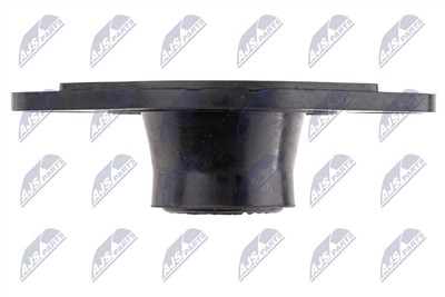 NTY BWP-PL-002A