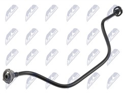 NTY CPP-AU-022