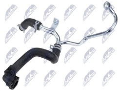 NTY CPP-BM-035