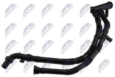 NTY CPP-CT-003