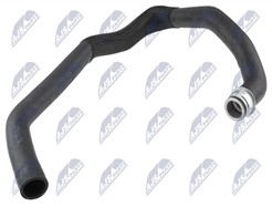 NTY CPP-CT-017