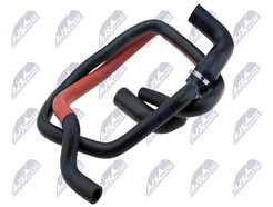 NTY CPP-FT-017