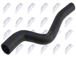 NTY CPP-PE-008
