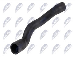 NTY CPP-PL-037
