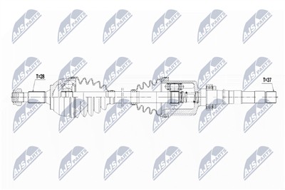 NTY NPW-CT-061 EAN: 5902048094674.