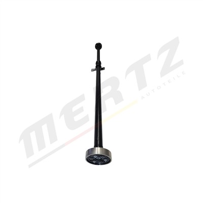 Mertz M-D1060 EAN: 5906125600499.