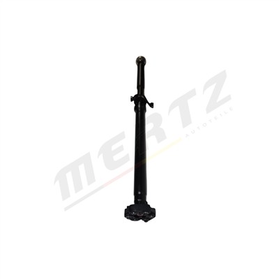 Mertz M-D1074 EAN: 5906125600635.