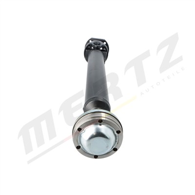 Mertz M-D1118 EAN: 5906125634241.