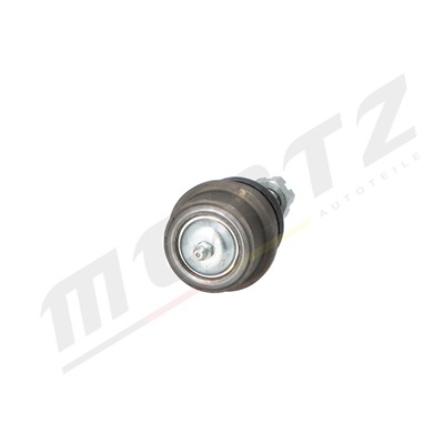 Mertz M-S0597 EAN: 5902701005887.
