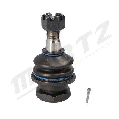 Mertz M-S1007 EAN: 5902701026271.
