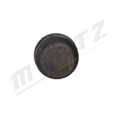 Mertz M-S2156 EAN: 5907714124679.
