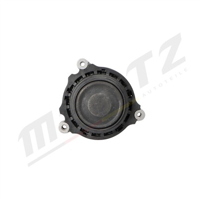 Mertz M-S5309 EAN: 5906125659169.