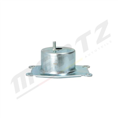 Mertz M-S5371 EAN: 5906125660318.